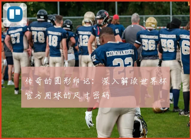 传奇的圆形印记：深入解读世界杯官方用球的尺寸密码