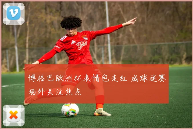 博格巴欧洲杯表情包走红 成球迷赛场外关注焦点