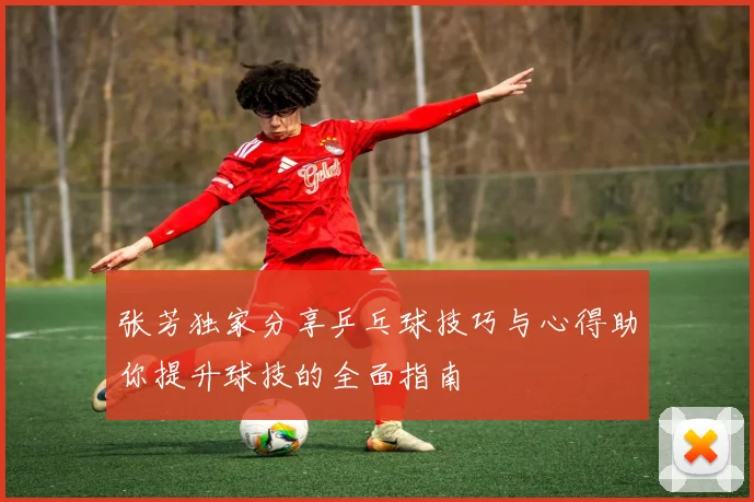 张芳独家分享乒乓球技巧与心得助你提升球技的全面指南